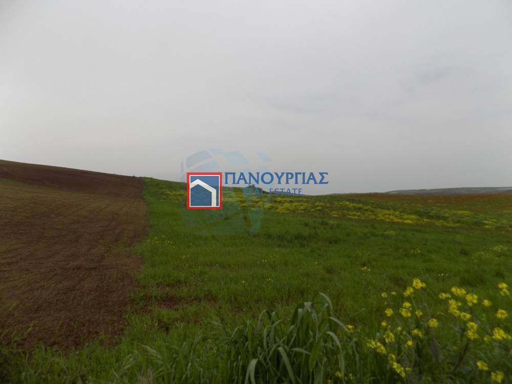 Αγροτεμάχια 49.000 τ.μ. πρός πώληση, Φθιώτιδας, Δομοκός