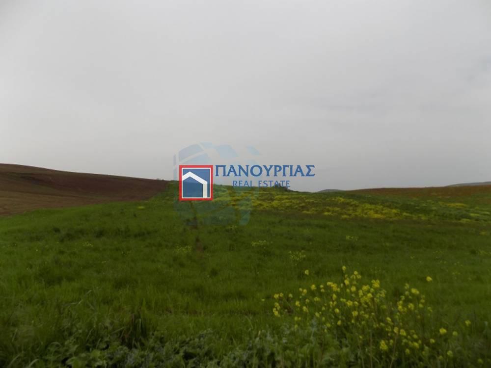 Αγροτεμάχια 49.000 τ.μ. πρός πώληση, Φθιώτιδας, Δομοκός