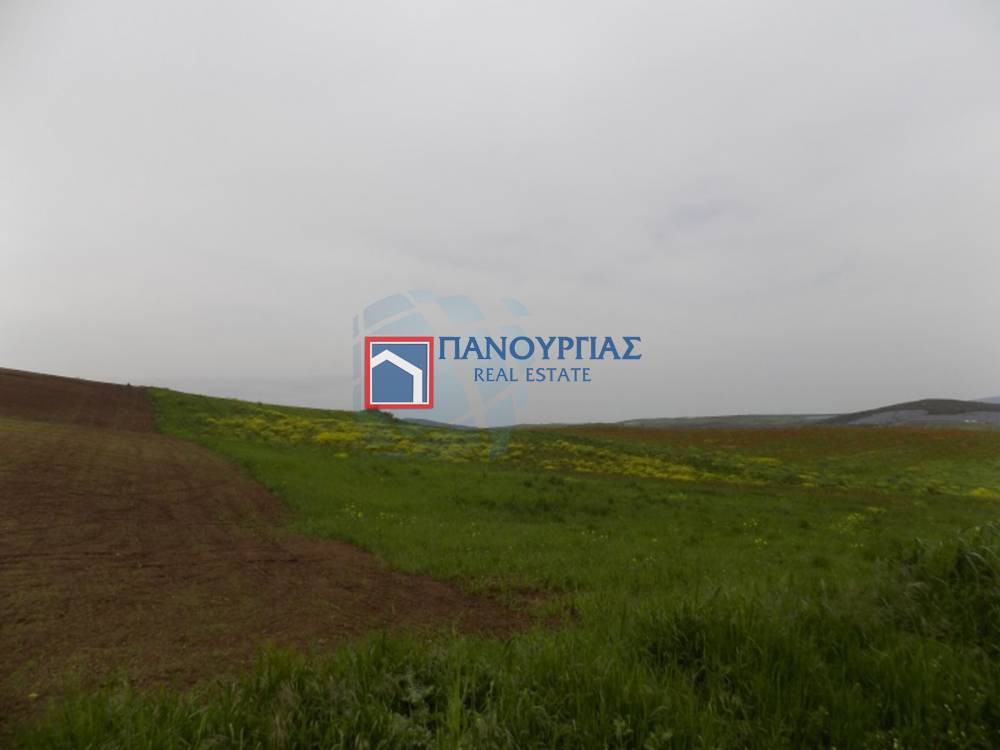 Αγροτεμάχια 49.000 τ.μ. πρός πώληση, Φθιώτιδας, Δομοκός