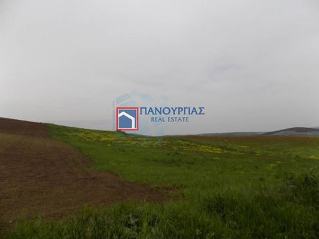 Αγροτεμάχια 49.000 τ.μ. προς πώληση