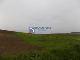 Αγροτεμάχια 49.000 τ.μ. για πώληση