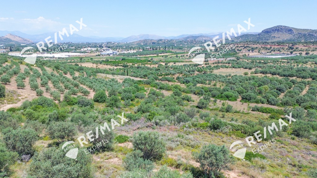 Οικόπεδο 6.636 τ.μ. πρός πώληση, Αργολίδα, Ναύπλιο