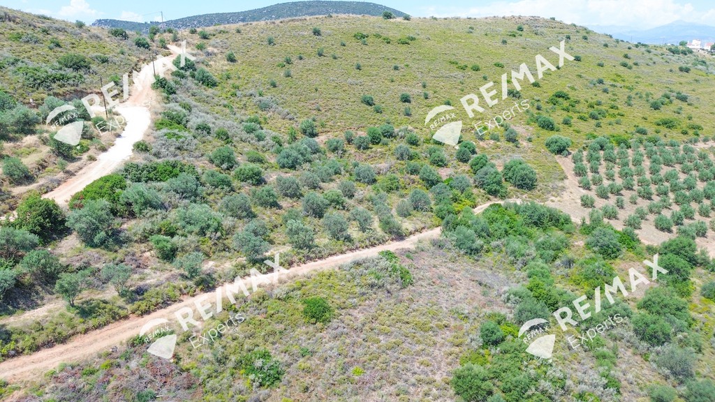Οικόπεδο 6.636 τ.μ. πρός πώληση, Αργολίδα, Ναύπλιο