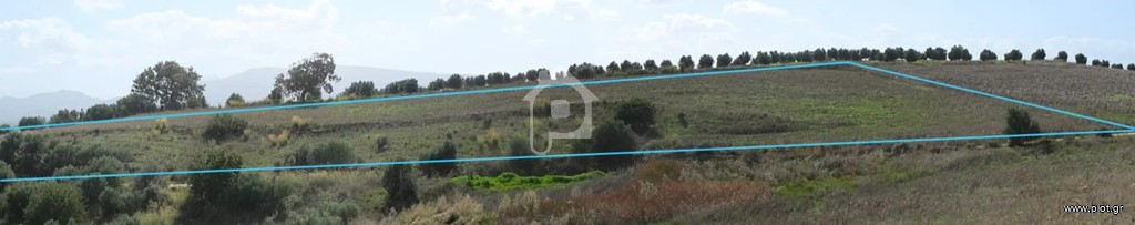 Αγροτεμάχια 11.000 τ.μ. προς πώληση, Καλαμάκι Μόβρης