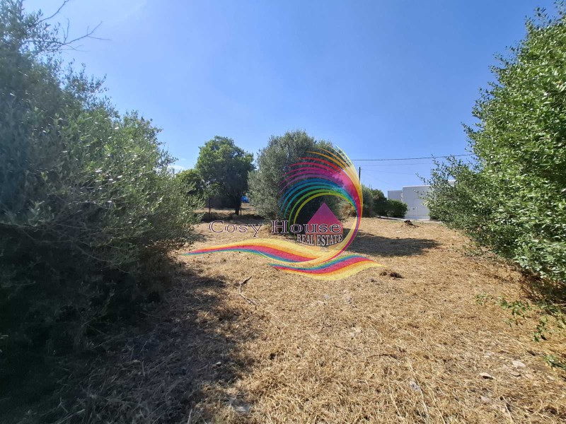 Οικόπεδο 455 τ.μ. πρός πώληση, Αθήνα - Ανατολικά Προάστια, Νέα Μάκρη