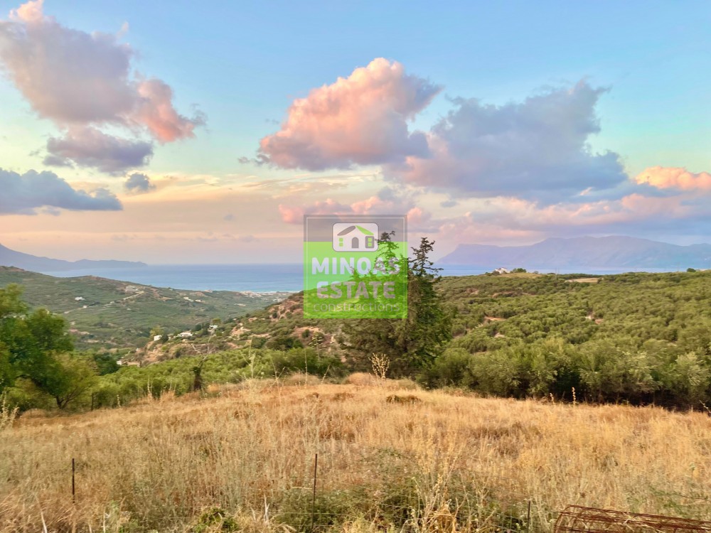 Οικόπεδο 800 τ.μ. προς πώληση, Δάφνη Κισσάμου
