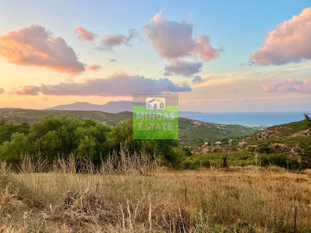 Οικόπεδο 800 τ.μ. προς πώληση, Δάφνη Κισσάμου