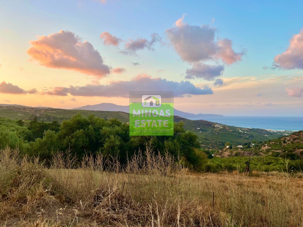 Οικόπεδο 800 τ.μ. προς πώληση, Δάφνη Κισσάμου