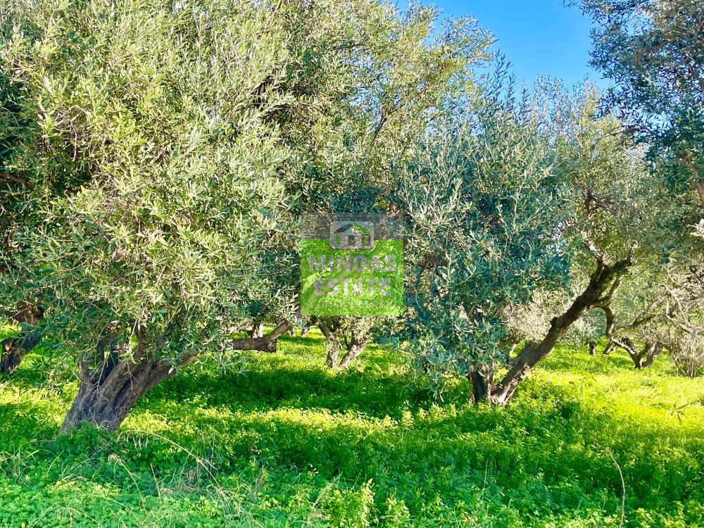 Οικόπεδο 5.220 τ.μ. πρός πώληση, Ν. Χανίων, Κίσσαμος