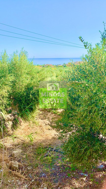 Οικόπεδο 7.212 τ.μ. προς πώληση, Μάλεμε