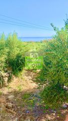 Οικόπεδο 7.212 τ.μ. για πώληση, Ν. Χανίων, Πλατανιάς-thumb-2