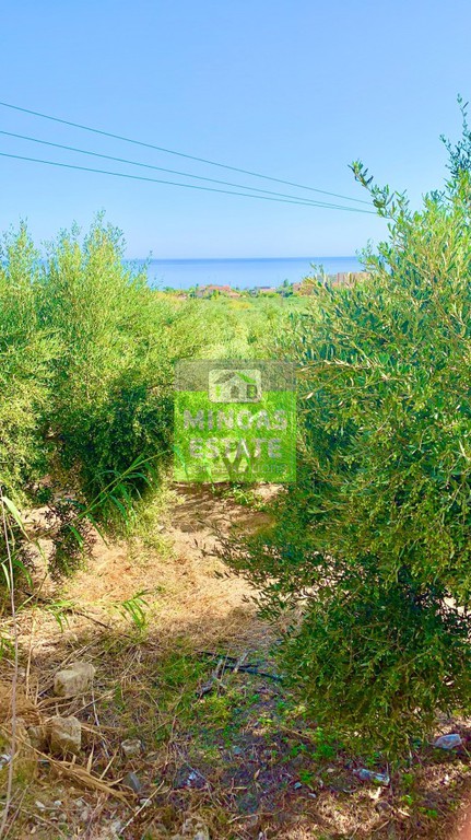 Οικόπεδο 7.212 τ.μ. προς πώληση, Μάλεμε