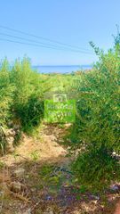 Οικόπεδο 7.212 τ.μ. για πώληση, Ν. Χανίων, Πλατανιάς-thumb-1