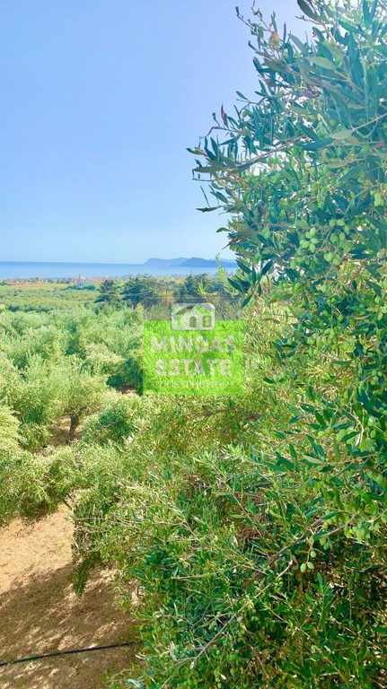 Οικόπεδο 7.212 τ.μ. προς πώληση, Μάλεμε