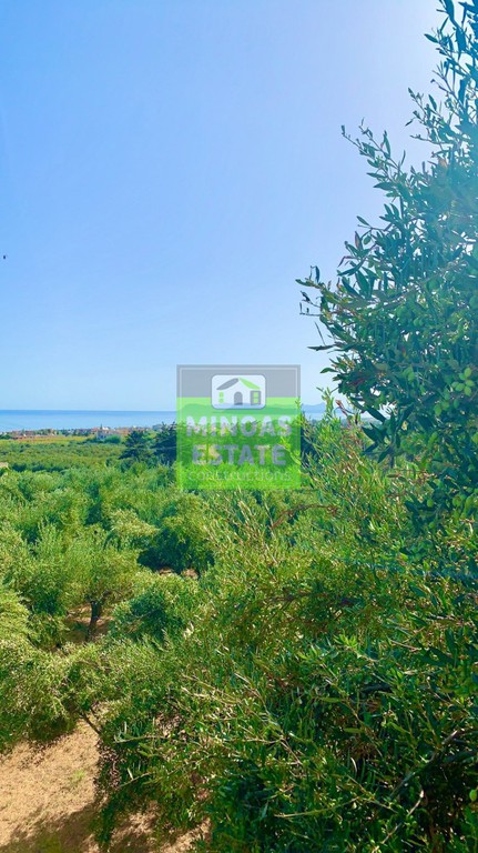 Οικόπεδο 7.212 τ.μ. προς πώληση, Μάλεμε