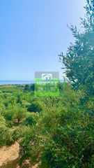Οικόπεδο 7.212 τ.μ. για πώληση, Ν. Χανίων, Πλατανιάς-thumb-4