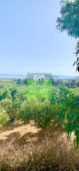 Οικόπεδο 7.212 τ.μ. για πώληση, Ν. Χανίων, Πλατανιάς-thumb-16