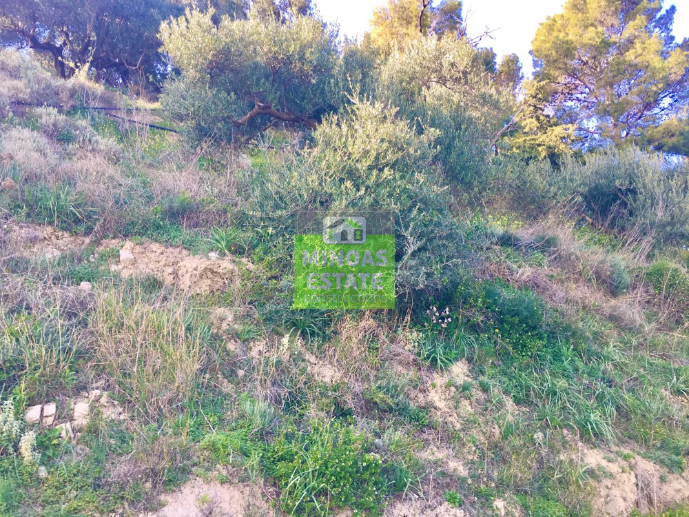 Οικόπεδο 2.815 τ.μ. πρός πώληση, Θεσσαλονίκη - Κέντρο, Κέντρο
