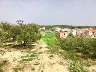 Αγροτεμάχια 4.030 τ.μ. για πώληση