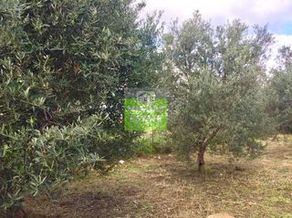Οικόπεδο 1.038 τ.μ. για πώληση, Ν. Χανίων, Πλατανιάς-thumb-2