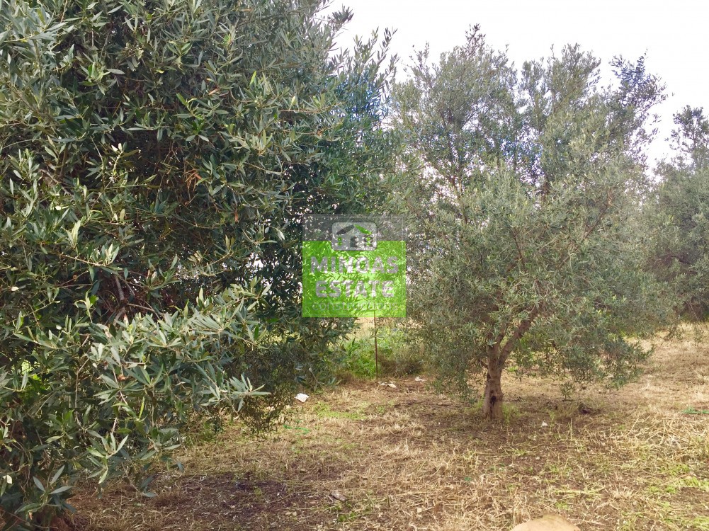 Οικόπεδο 1.038 τ.μ. πρός πώληση, Ν. Χανίων, Πλατανιάς
