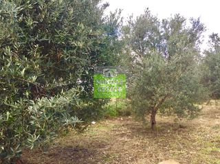 Οικόπεδο 1.038 τ.μ. για πώληση, Ν. Χανίων, Πλατανιάς-thumb-1