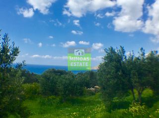 Οικόπεδο 2.000 τ.μ. προς πώληση, Σφηνάρι-thumb-13
