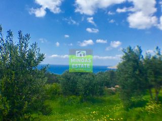 Οικόπεδο 2.000 τ.μ. προς πώληση, Σφηνάρι-thumb-12