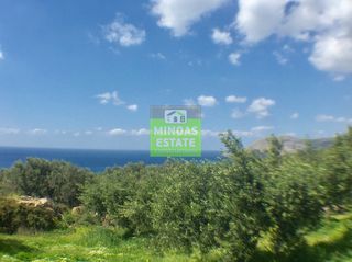 Οικόπεδο 2.000 τ.μ. προς πώληση, Σφηνάρι-thumb-6