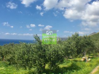 Οικόπεδο 2.000 τ.μ. προς πώληση, Σφηνάρι-thumb-5