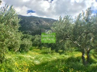 Οικόπεδο 2.000 τ.μ. προς πώληση, Σφηνάρι-thumb-14