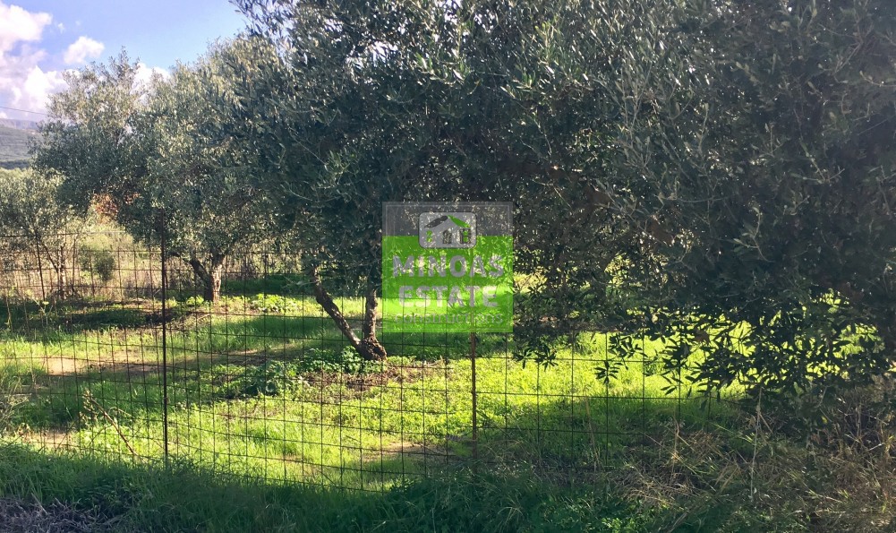 Οικόπεδο 1.052 τ.μ. πρός πώληση, Ν. Χανίων, Κίσσαμος