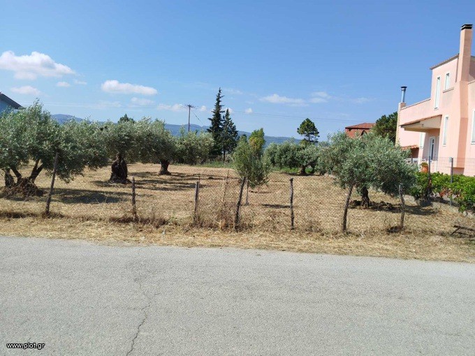 Οικόπεδο 415 τ.μ. προς πώληση, Άγιος Παντελεήμων Ιστιαίας