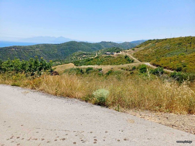 Αγροτεμάχια 4.013 τ.μ. προς πώληση, Κοτσικιά Νηλέως