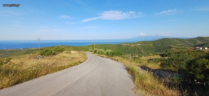 Αγροτεμάχια 4.013 τ.μ. προς πώληση, Κοτσικιά Νηλέως