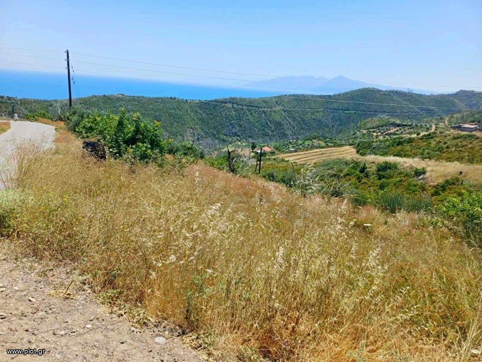 Αγροτεμάχια 4.013 τ.μ. προς πώληση, Κοτσικιά Νηλέως