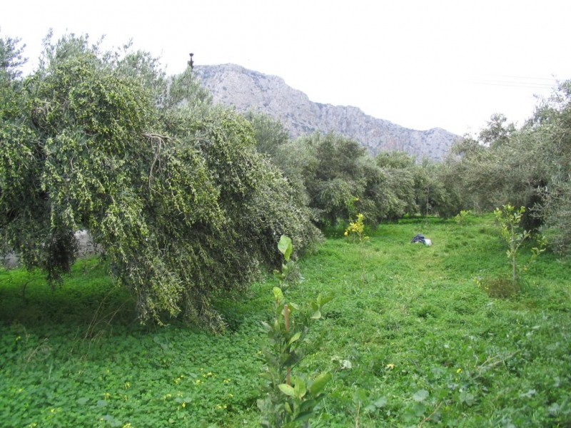 Μονοκατοικία 600 τ.μ. πρός πώληση, Ν. Λασιθίου, Ιεράπετρα