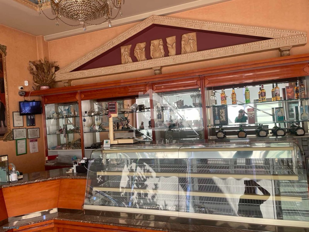 Κατάστημα 240 τ.μ. προς ενοικίαση, Νέο Αιγάλεω