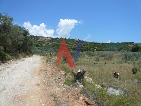 Αγροτεμάχια 20.000 τ.μ. πρός πώληση