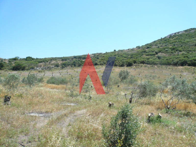 Αγροτεμάχια 20.000 τ.μ. πρός πώληση, Μαγνησία, Αισωνία