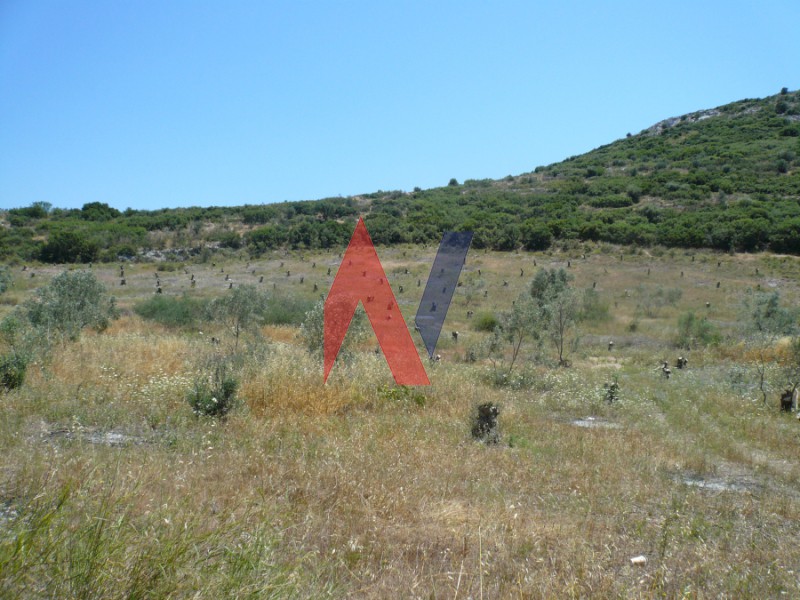 Αγροτεμάχια 20.000 τ.μ. πρός πώληση, Μαγνησία, Αισωνία