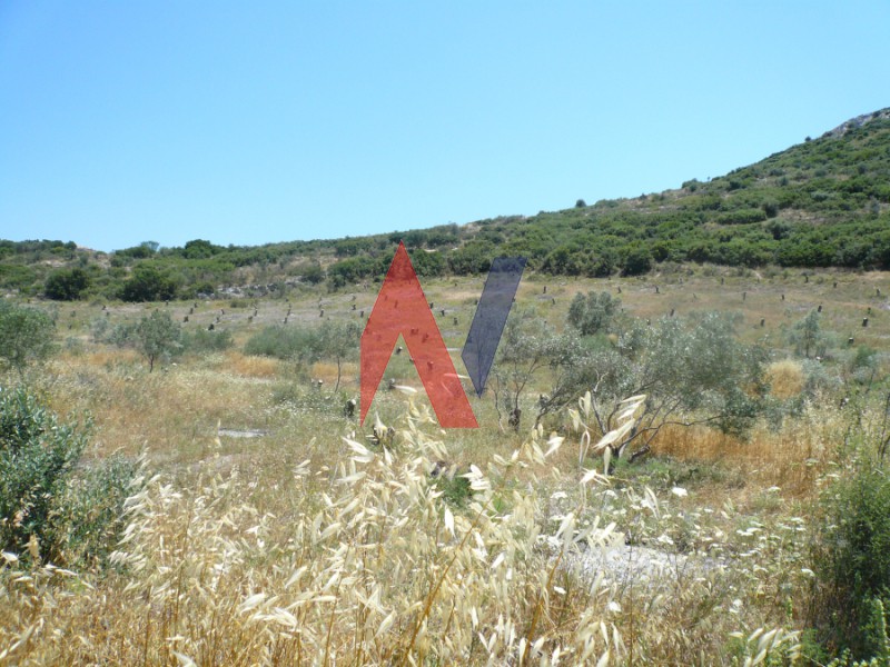 Αγροτεμάχια 20.000 τ.μ. πρός πώληση, Μαγνησία, Αισωνία