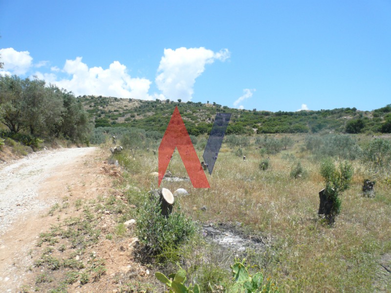 Αγροτεμάχια 20.000 τ.μ. πρός πώληση, Μαγνησία, Αισωνία