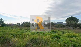 Οικόπεδο 801 τ.μ. για πώληση