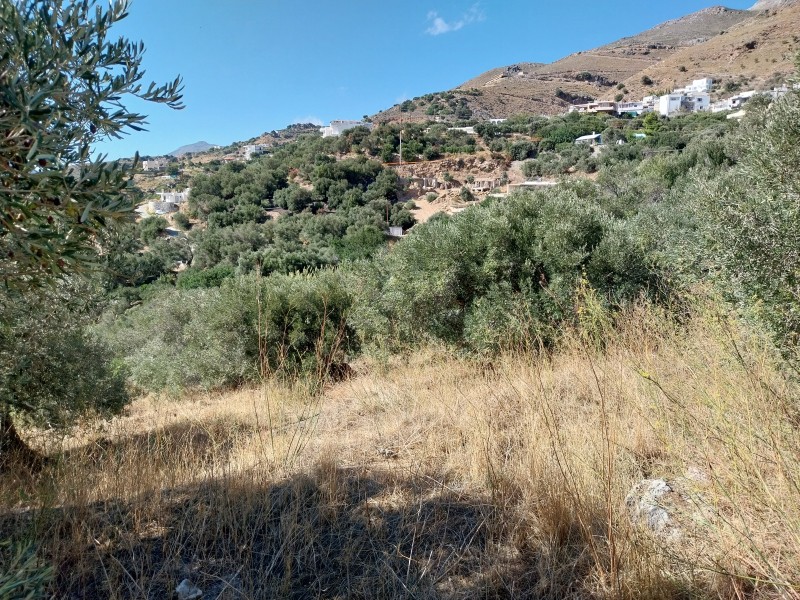 Οικόπεδο 664 τ.μ. πρός πώληση, Ν. Ρεθύμνου, Φοινίκας