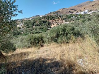 Οικόπεδο 664 τ.μ. για πώληση, Ν. Ρεθύμνου, Φοινίκας-thumb-2