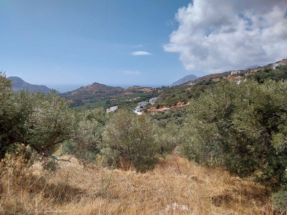 Οικόπεδο 664 τ.μ. για πώληση, Ν. Ρεθύμνου, Φοινίκας