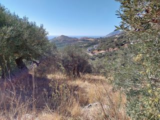 Οικόπεδο 664 τ.μ. για πώληση, Ν. Ρεθύμνου, Φοινίκας-thumb-4