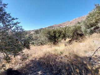 Οικόπεδο 664 τ.μ. για πώληση, Ν. Ρεθύμνου, Φοινίκας-thumb-5