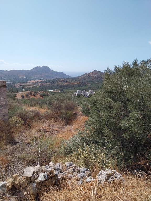 Οικόπεδο 664 τ.μ. πρός πώληση, Ν. Ρεθύμνου, Φοινίκας
